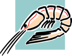 Free Stock Photo: Illustration of a shrimp