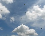 Free Stock Photo: Soldiers parachuting in the sky
