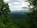 Free Stock Photo: A mountain landscape viewed through trees