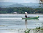 Free Stock Photo: A man fishing in a river