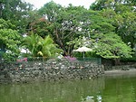 Free Stock Photo: Tropical river bank