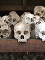Free Stock Photo: Skulls from the stupa memorial at the killing fields of Choeung Ek, near Phnom Penh, Cambodia