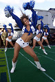 Free Stock Photo: Dallas Cowboys Cheerleaders
