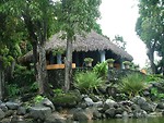 Free Stock Photo: A tropical hut