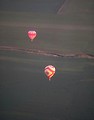 Free Stock Photo: Hot air balloons flying over a field