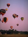Free Stock Photo: Hot air balloons flying over a field