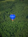 Free Stock Photo: A hot air balloon flying over trees