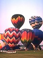 Free Stock Photo: Hot air balloons taking off from a field