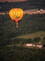 Free Stock Photo: A hot air balloon with a bee design flying over trees