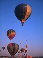 Free Stock Photo: Hot air balloons taking off from a field