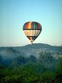 Free Stock Photo: A hot air balloon flying over trees