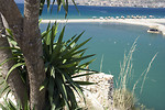 Free Stock Photo: Scene overlooking a palm tree and a lagoon
