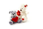 Free Stock Photo: Teddy bears with hearts isolated on a white background