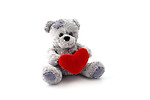 Free Stock Photo: An isolated teddy bear with a heart