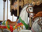 Free Stock Photo: Closeup of carousel horse