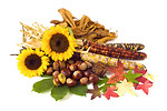 Free Stock Photo: An autumn still life