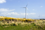 Free Stock Photo: Windmills in a field