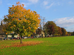 Free Stock Photo: A park in autumn