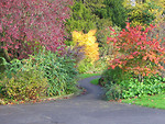 Free Stock Photo: A park in autumn