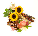 Free Stock Photo: An autumn still life