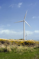 Free Stock Photo: A wind turbine
