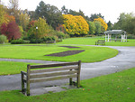 Free Stock Photo: A park in autumn