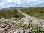 Free Stock Photo: A stone path by a mountain landscape