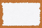 Free Stock Photo: A blank note on a cork board