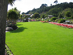 Free Stock Photo: A lawn in a park
