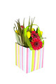 Free Stock Photo: Illustration of flowers in a box isolated on a white background.