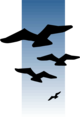 Free Stock Photo: Illustration of bird silhouettes flying against a blue sky