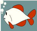 Free Stock Photo: Illustration of a red and white fish
