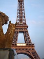 Free Stock Photo: The Eiffel Tower