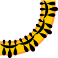 Free Stock Photo: Illustration of a curved lower right frame corner