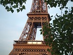 Free Stock Photo: The Eiffel Tower
