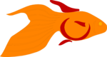 Free Stock Photo: Illustration of a goldfish