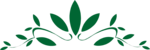 Free Stock Photo: Illustration of a green leaf design