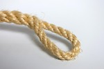 Free Stock Photo: A loop of rope isolated on a white background