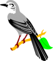 Free Stock Photo: Illustration of a mocking bird