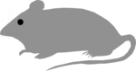 Free Stock Photo: Illustration of a small gray mouse
