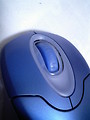 Free Stock Photo: Close-up of a blue computer mouse