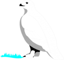 Free Stock Photo: Illustration of a white bird