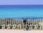 Free Stock Photo: A bike parked by the ocean