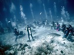 Free Stock Photo: Sharks swimming by a group of scuba divers in the ocean