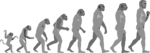 Free Stock Photo: Illustration of an evolution progression