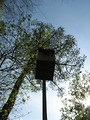 Free Stock Photo: A bird house on a pole by trees