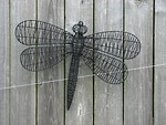 Free Stock Photo: A wire dragonfly sculputure on a wooden fence
