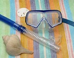 Free Stock Photo: A snorkel and mask with sea shells on a blanket