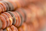 Free Stock Photo: Close-up of red corn.