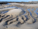 Free Stock Photo: Sand with puddles of water